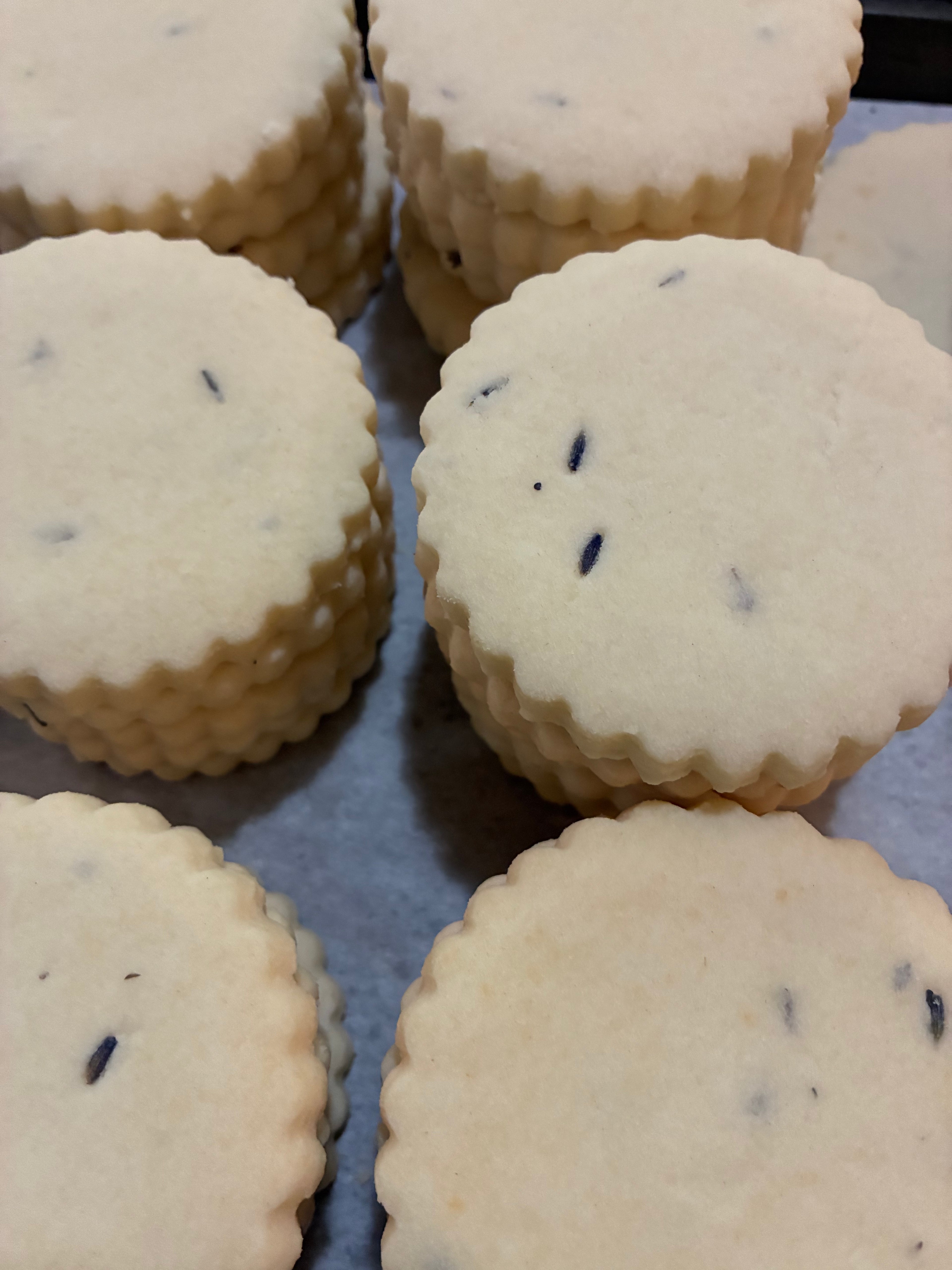 Shortbread Lavender (7-pack)